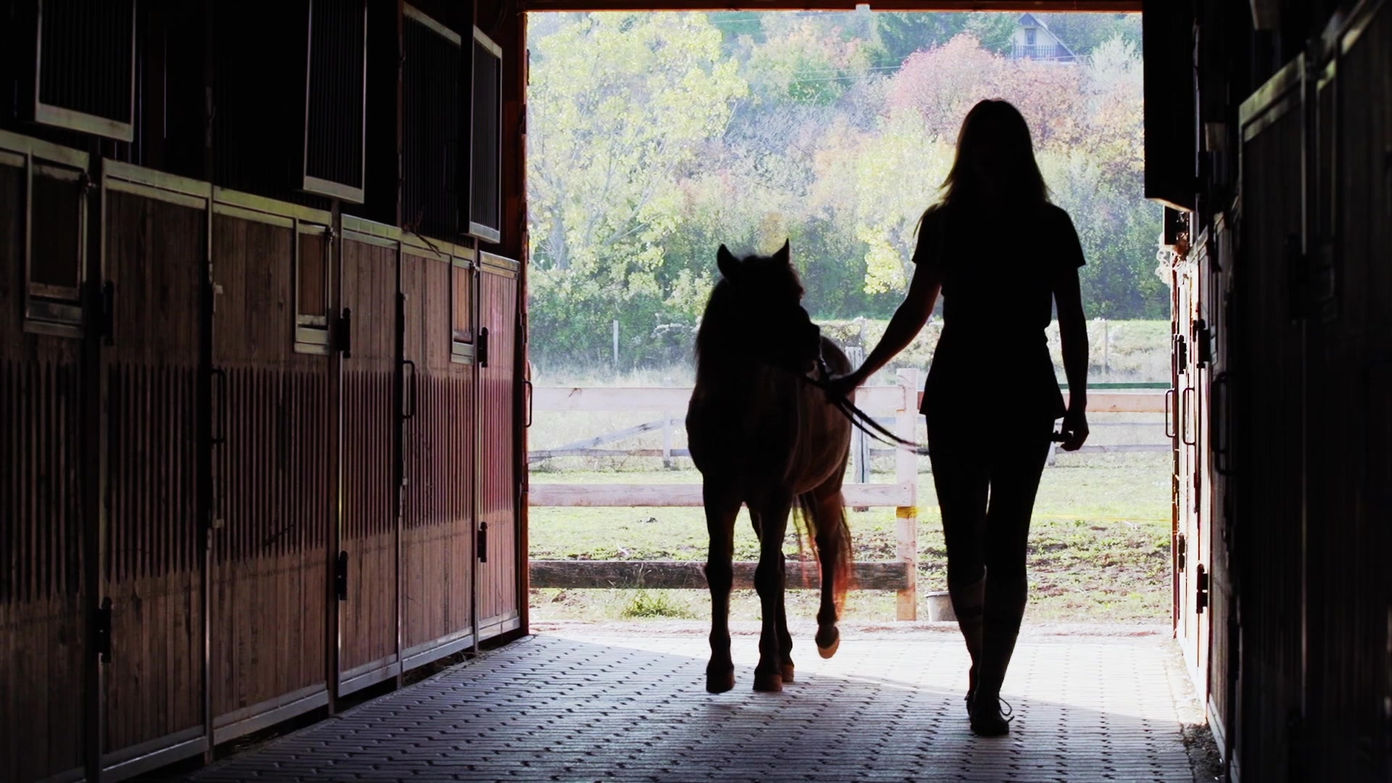 girl_and_a_pony